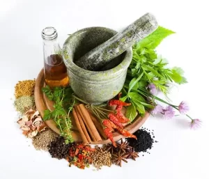 Ayurveda Health