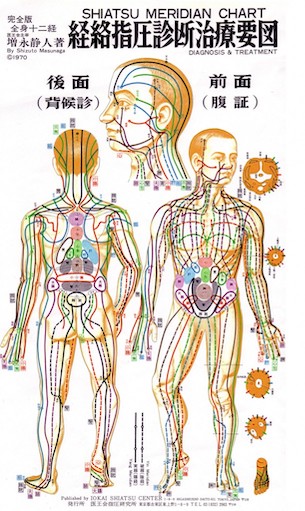 body Image Chart