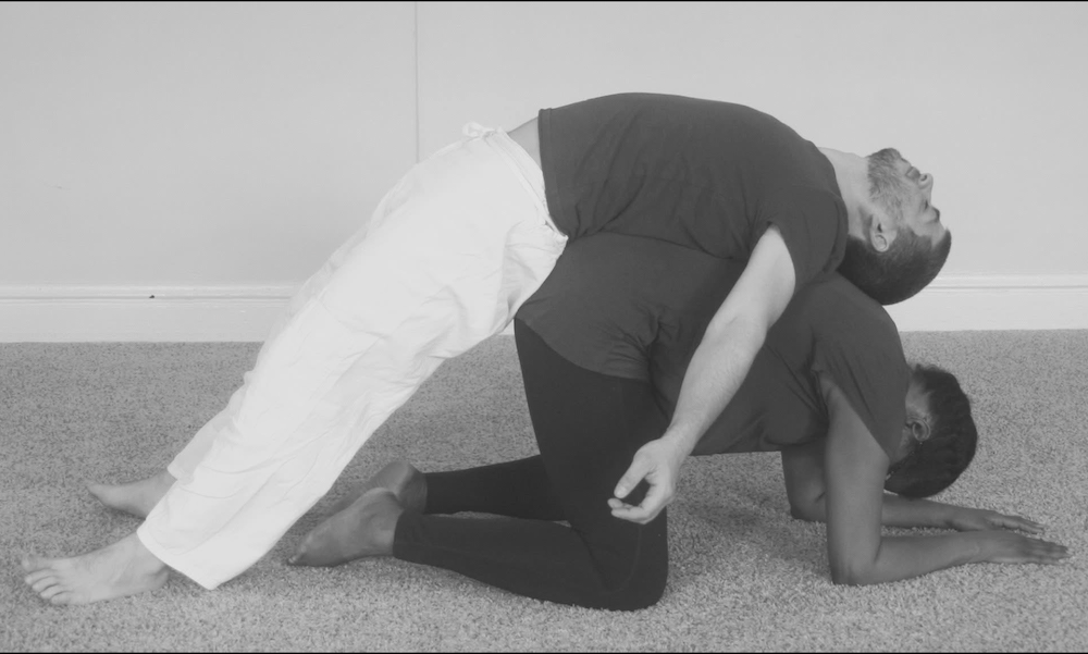 Seated Shiatsu Class part #1